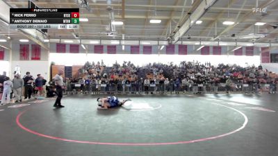 157 lbs 3rd Place - Nick Ferro, Natick vs Anthony DeMaio, Methuen