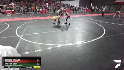 88 lbs Champ. Round 2 - Paxton Gish, Askren Wrestling Academy vs Brooks Krauss, Sugar River/RT Elite