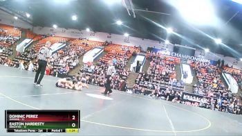 132 lbs Quarterfinals (8 Team) - Easton Hardesty, Brighton vs Dominic Perez, Davison