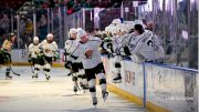 Meet The Colorado Avalanche ECHL Affiliate, The Utah Grizzlies