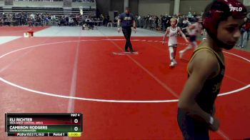 80 lbs Quarterfinal - Cameron Rodgers, Chaska/Chanhassen vs Eli Richter, WCA (West Central Area)