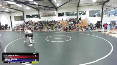 138 lbs Round 4 - Grace Spiess, Manchester vs Celeste Nunez, Indiana Tech