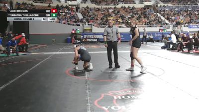 147-D1 Cons. Round 1 - Alie Bridges, Shadow Ridge High School vs Tabatha Thellaeche, Chandler
