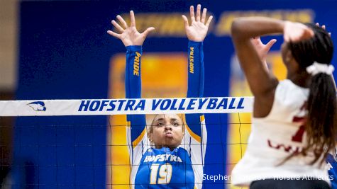 Hofstra Stays Perfect, Towson and Campbell Extend Streaks In CAA Volleyball