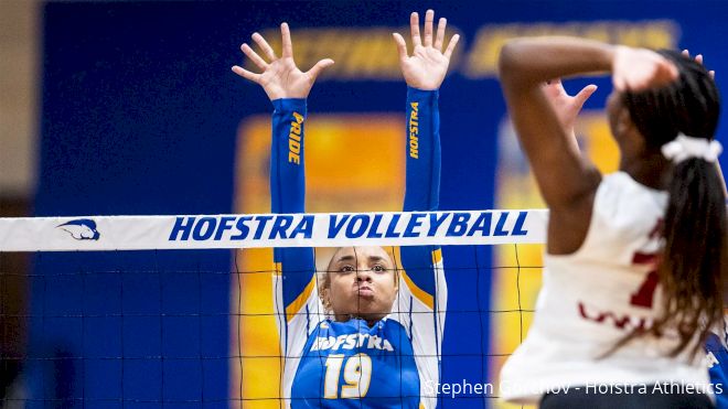 Hofstra Stays Perfect, Towson and Campbell Extend Streaks In CAA Volleyball