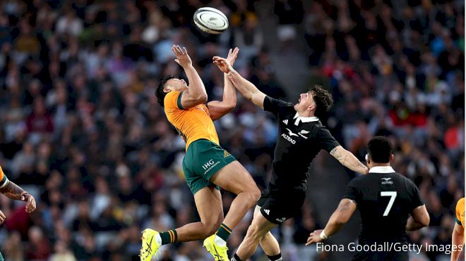 Wallabies vs All Blacks Kickoff Time, Lineups In Rugby Championship Round 6