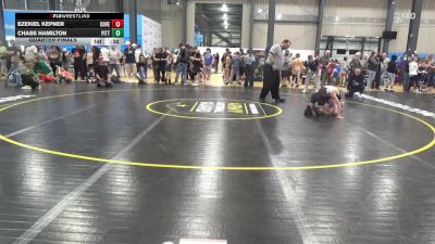 98 lbs Quarterfinal - Ezekiel Kepner, Dover vs Chase Hamilton, Pittsburgh