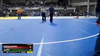 215 lbs Placement (4 Team) - Tyson Newman, STMA vs Charlie Streiff, Pine Island