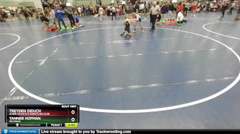 100 lbs Cons. Round 2 - Treyden Diduch, Alber Athletics Wrestling Club vs Tanner Hofman, Michigan