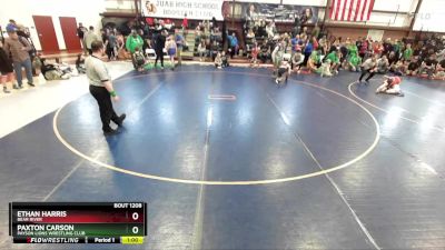 100 lbs Cons. Semi - Ethan Harris, Bear River vs Paxton Carson, Payson Lions Wrestling Club