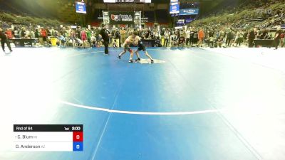 106 lbs Rnd Of 64 - Carson Blum, MI vs Dylan Anderson, AZ