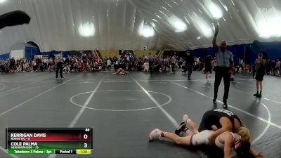 88 lbs Round 3 (8 Team) - Cole Palma, Neighborhood vs Kerrigan Davis, Rogue WC