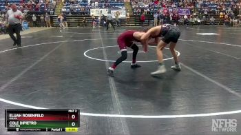 1 - 113 lbs Cons. Semi - Elijah Rosenfeld, Galax vs Cole Dipietro, Holston