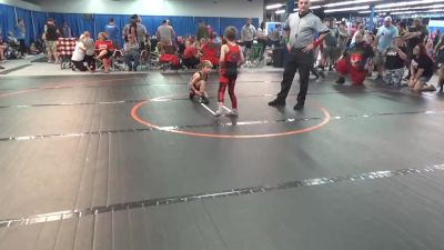 55 lbs Quarterfinal - Richard Allen, Valley Vengeance vs Camden Davich, Donahue