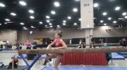 Aerial Athletics (Braie Speed)