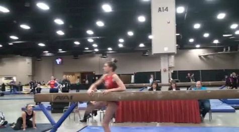 Aerial Athletics (Braie Speed)
