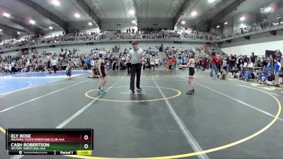 60 lbs Cons. Round 3 - Ely Rose, Palmyra Youth Wrestling Club-AAA vs Cash Robertson, Victory Wrestling-AAA