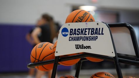 No. 6 Ashland Will Start New Season With Exhibition Game At Iowa Women's Basketball