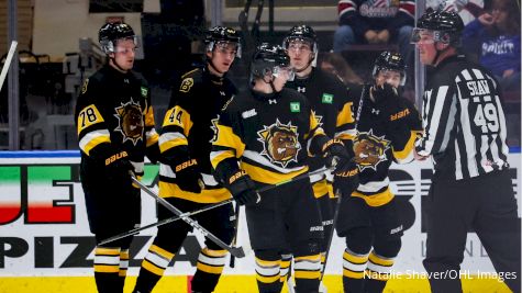 The Brantford Bulldogs Are An Absolute Wagon