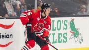 Nick Lardis Proving In AHL That His OHL Scoring Touch Translates