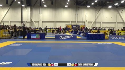 Timothy Leon Robert Polman vs Kevin James Hom 2024 World IBJJF Jiu-Jitsu No-Gi Championship