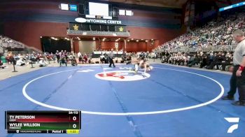 3A-113 lbs 1st Place Match - Wylee Willson, Pinedale vs Ty Peterson, Cody