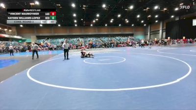 144 lbs Cons. Round 3 - Kayden Williams-Lopez, Reed vs Vincent Maumoynier, Lassen
