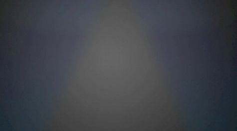 Workout Insider: Elite Training at Perfection Gymnastics