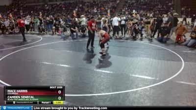 100 lbs Champ. Round 1 - Mace Harris, Colorado vs Camden Senecal, Black Fox Wrestling Academy