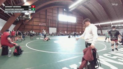 135 lbs Round Of 16 - Anthony Severino, Lindenhurst High School vs Salvatore Borrometi, Saint Peters Prep Hs