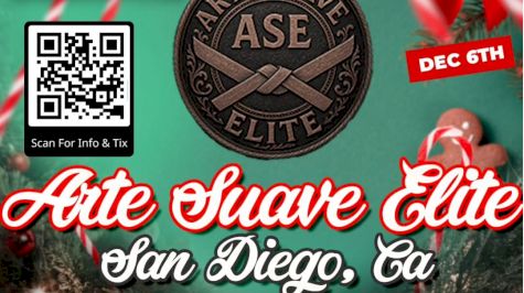 2025 Arte Suave Winter Wonderland Event