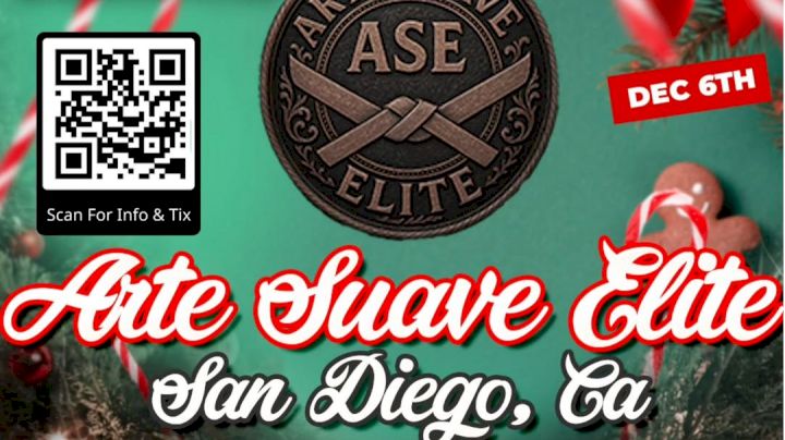 2025 Arte Suave Winter Wonderland Event