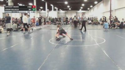 90 lbs Rr Rnd 6 - Anthony Miano, CTWHALE - BHSE vs Logan Vallalla, Mat Warriors White - BHSE