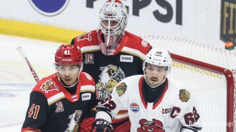 The Top 8 Players To Watch In Texas Stars vs. Rockford IceHogs Hockey