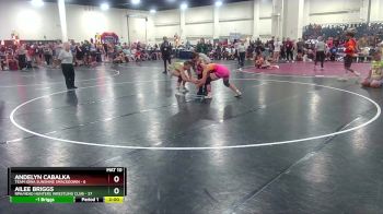 140 lbs Semis & Wb (16 Team) - Ailee Briggs, RPA/Head Hunters Wrestling Club vs Andelyn Cabalka, Team Iowa Sunshine Smackdown