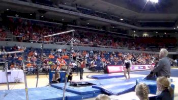 Arkansas (Amy Borsellino)