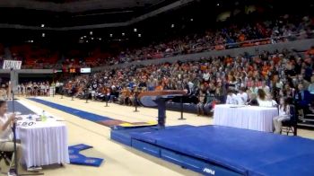 Arkansas (Amy Borsellino)