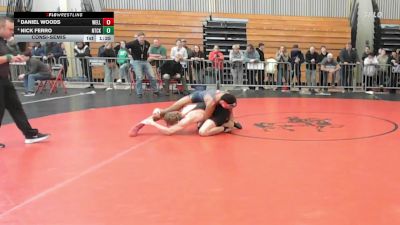 157 lbs Consolation - Daniel Woods, Wellesley vs Nick Ferro, Natick