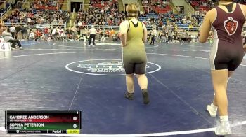 190 lbs Quarterfinal - Cambree Anderson, W2-Bismarck vs Sophia Peterson, E3-Fargo