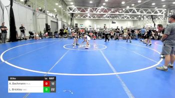 80 lbs Semifinal - Adam Bachmann, PA Alliance ES A vs Logan Brickley, Orchard WC