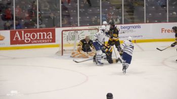 Gabe Chiarot Stuns Brantford With Late Go-Ahead Goal To Give Brampton Win