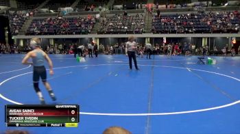 65 lbs Quarterfinal - Tucker Svedin, Zimmerman Wrestling Club vs Aveah Sainci, Riverhawk Wrestling Club