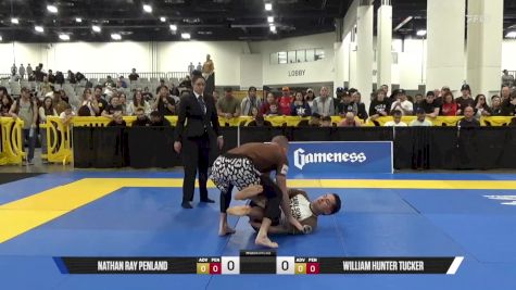 William Hunter Tucker vs Nathan Ray Penland 2025 World IBJJF Jiu-Jitsu No-Gi Championship