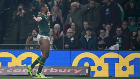 Autumn Nations Series: Winners & Losers From November Tests