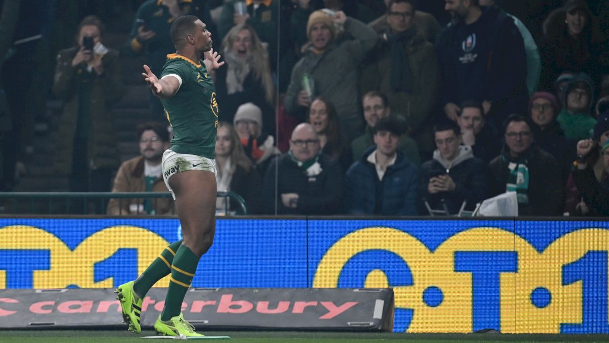 Autumn Nations Series: Winners And Losers From November Tests