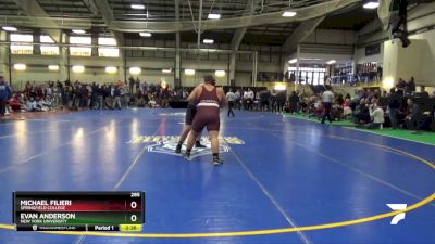 285 lbs 3rd Place Match - Michael Filieri, Springfield College vs Evan Anderson, New York University