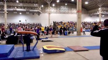 Gymnastics and More (Jillian Winstanley) - Perfect 10 on Vault!