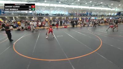 110 lbs Quarterfinal - Tony Biondillo, Unattached vs Anthony Alonso, Unattached