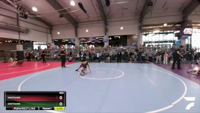 113 lbs Cons. Round 3 - Alejandro Gonzlez, Cornerstone Warriors Wrestling Club vs Avery Webb, All American Wrestling Club
