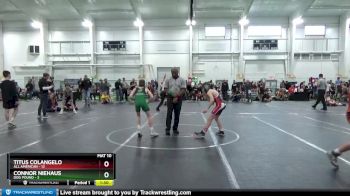 84 lbs Finals (2 Team) - Connor Niehaus, Dog Pound vs Titus Colangelo, All American